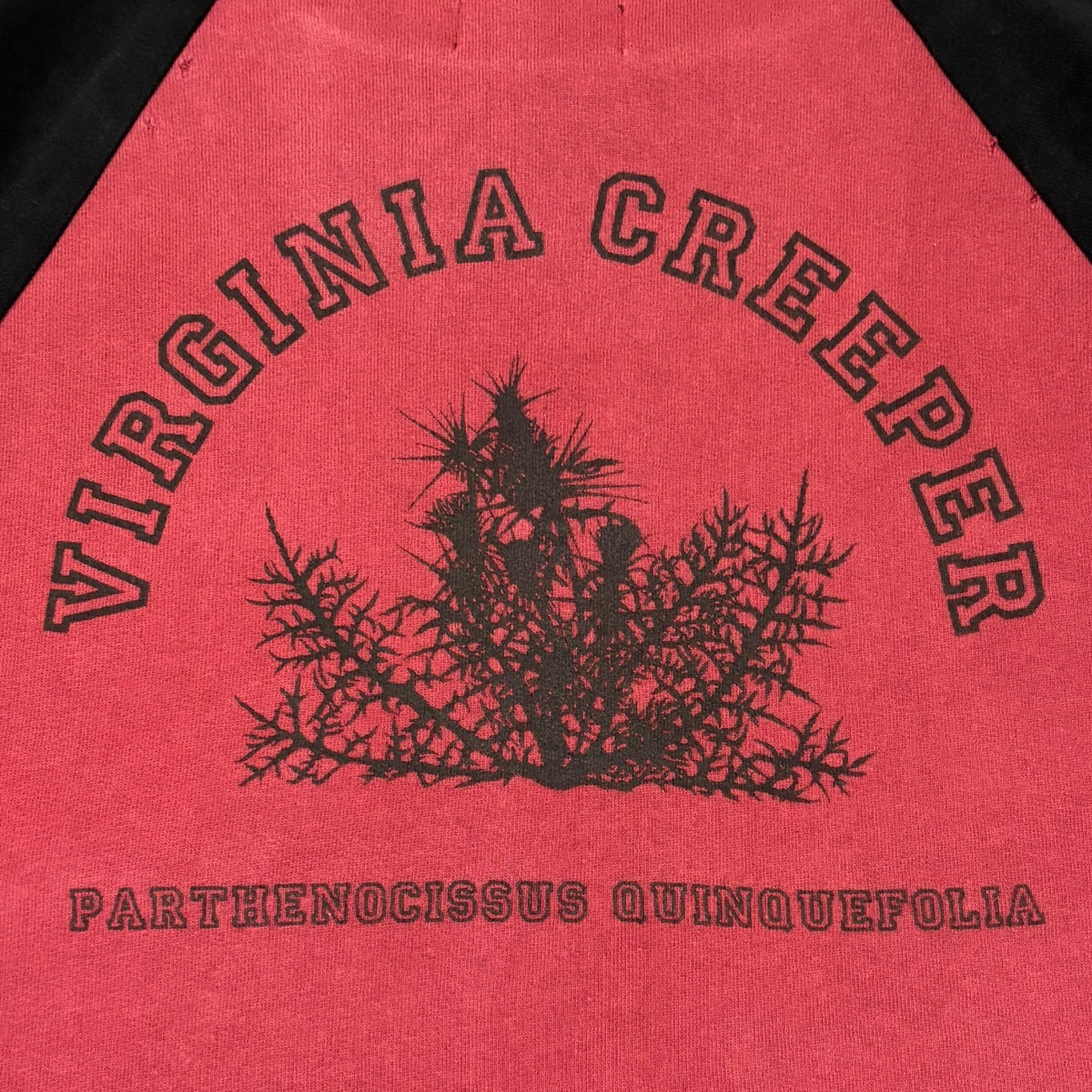 Raf Simons Redux Virginia Creeper Tee