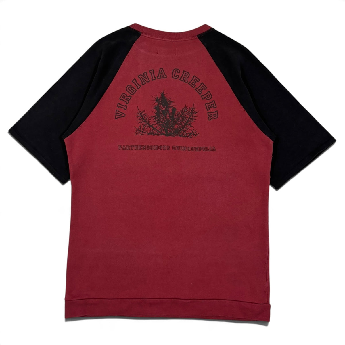 Raf Simons Redux Virginia Creeper Tee